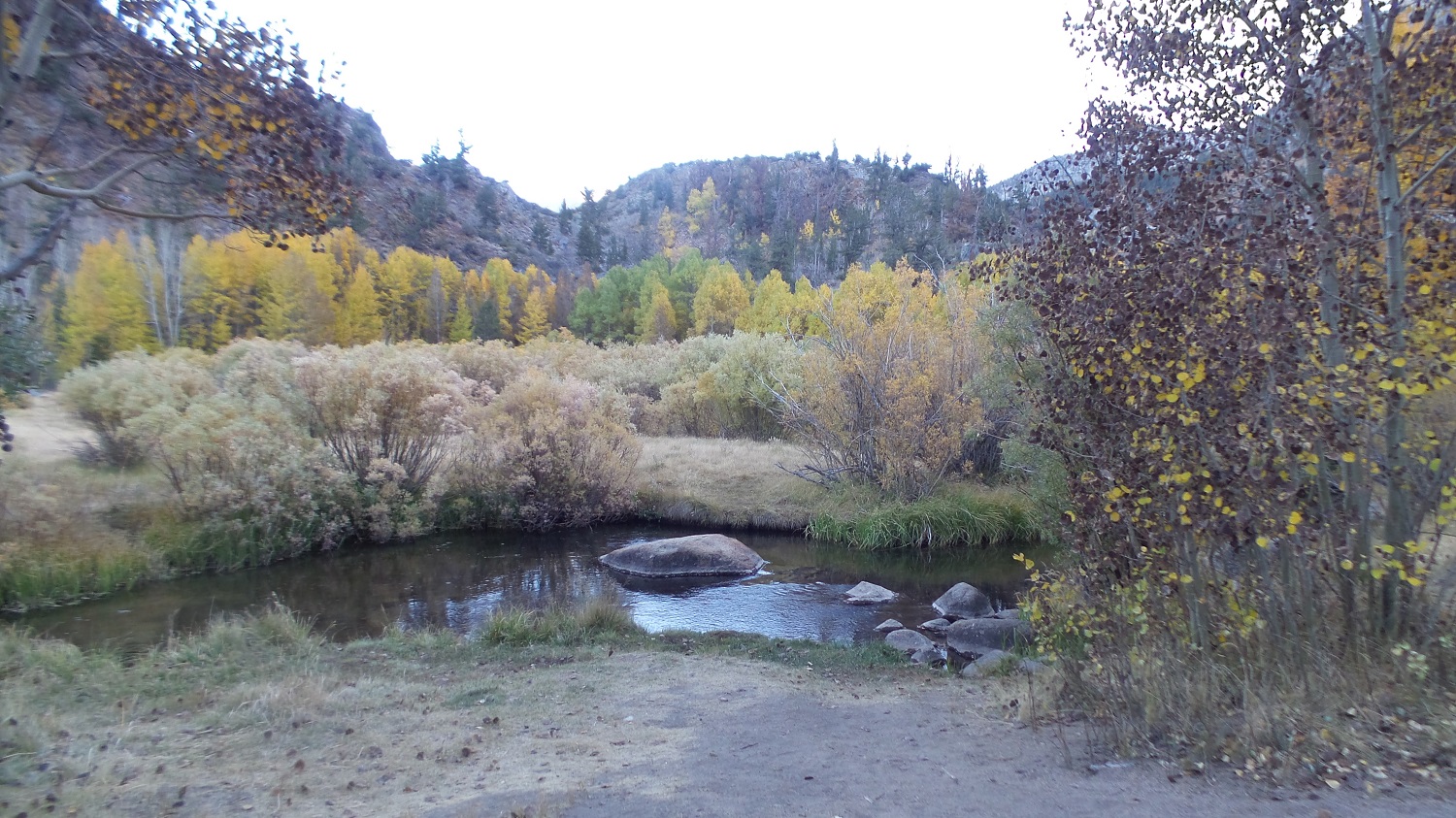 20161008_175119.jpg