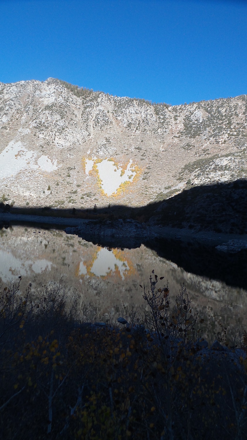 20161009_090404.jpg