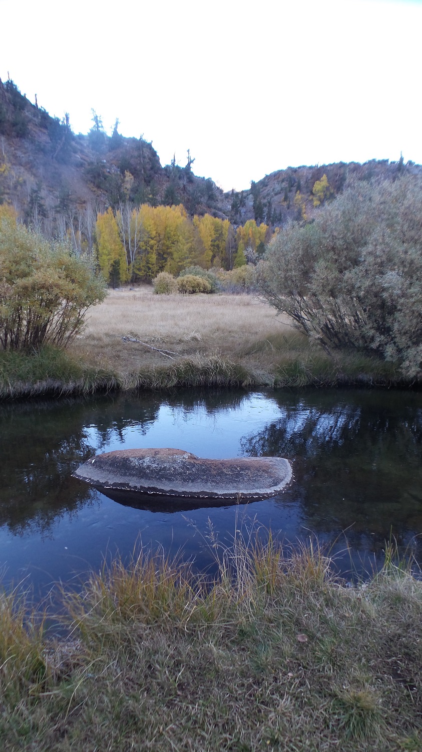 20161008_175502.jpg
