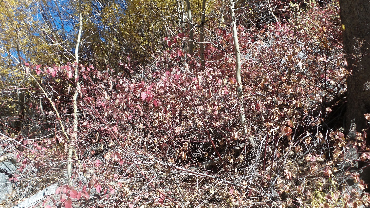 20161009_143940.jpg