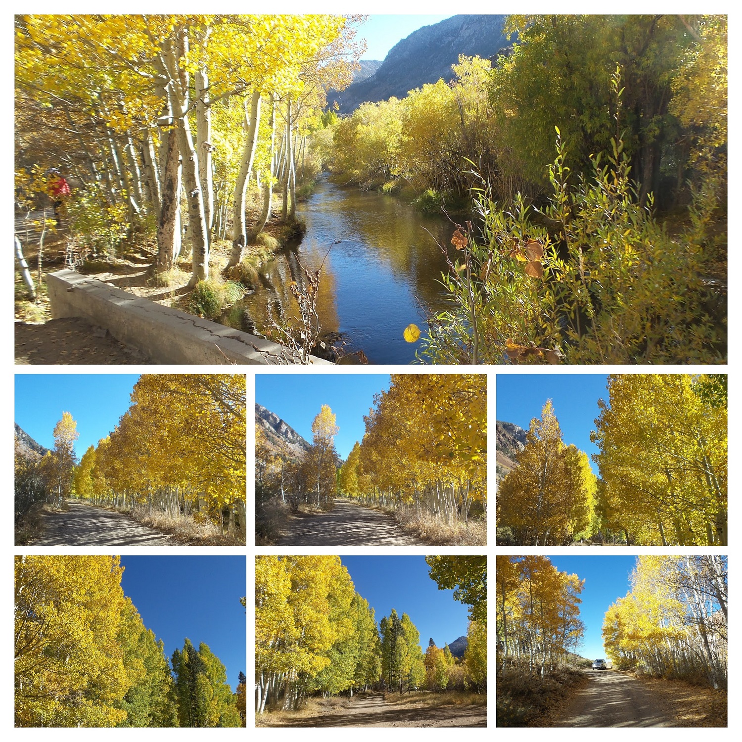 20161009_160408-COLLAGE.jpg