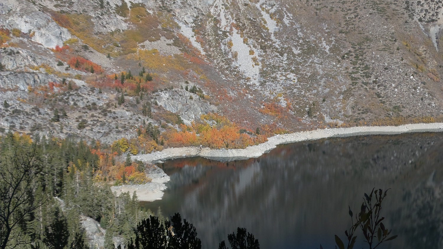 20161009_093529.jpg