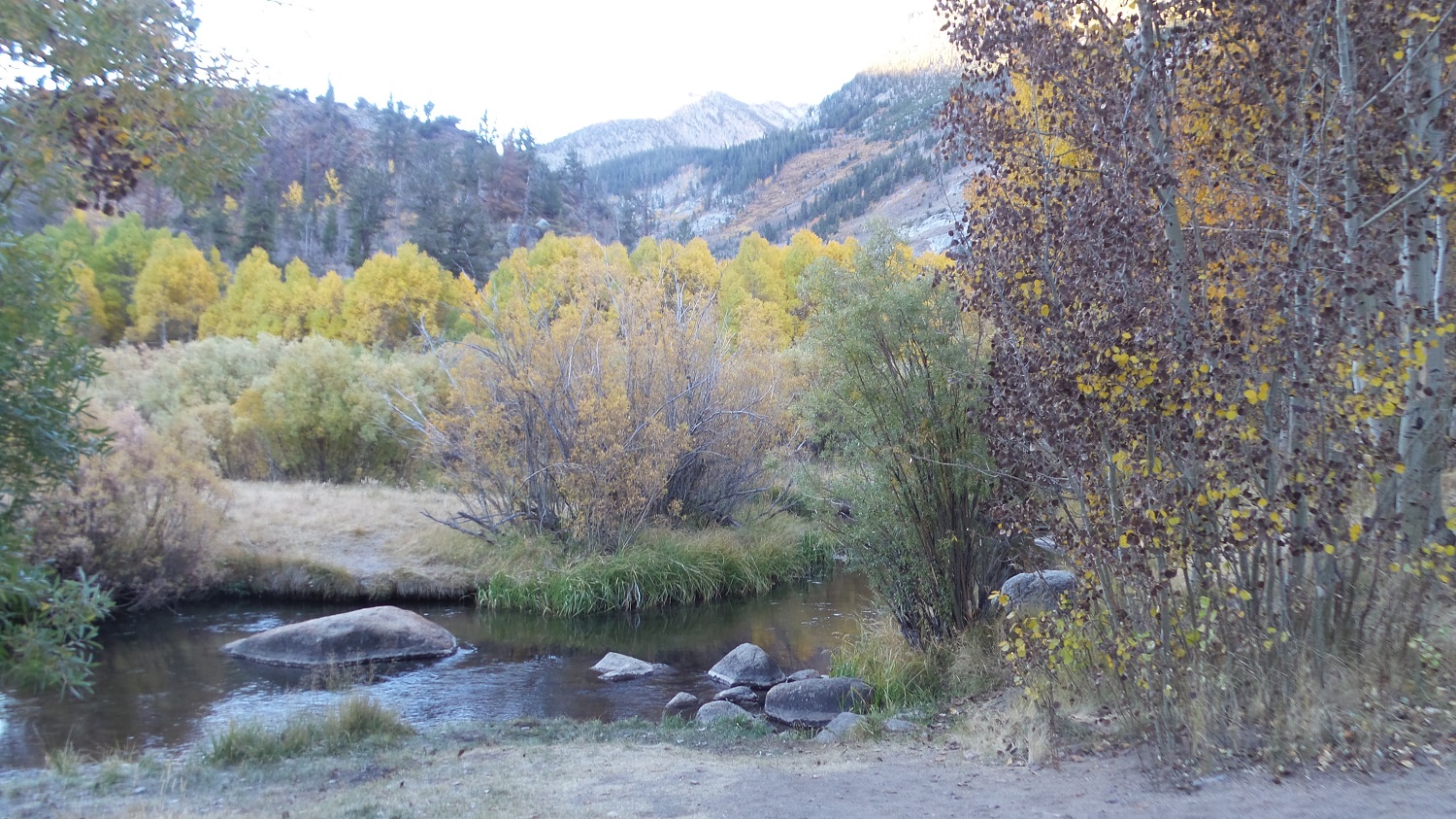 20161009_073204.jpg