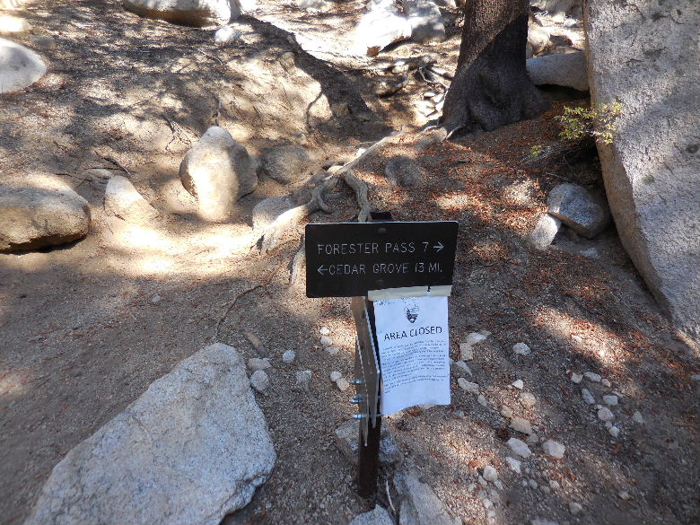 DSCN2390.JPG