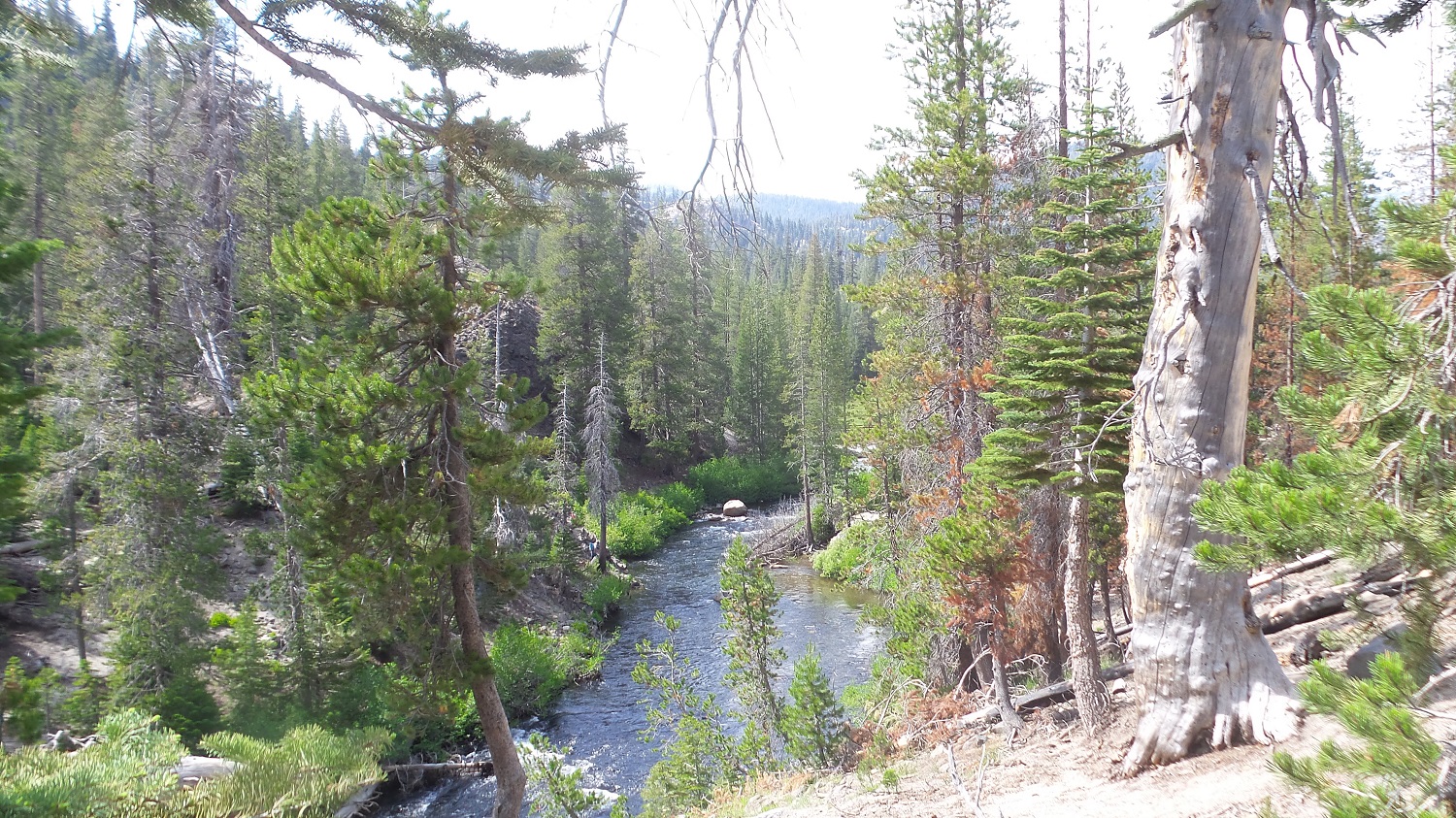 20160702_160519.jpg