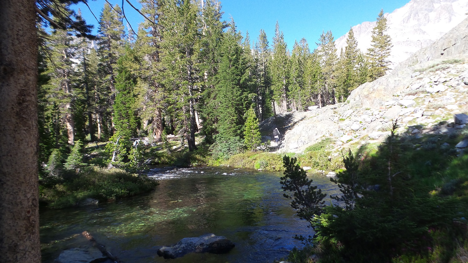 20160703_084626.jpg