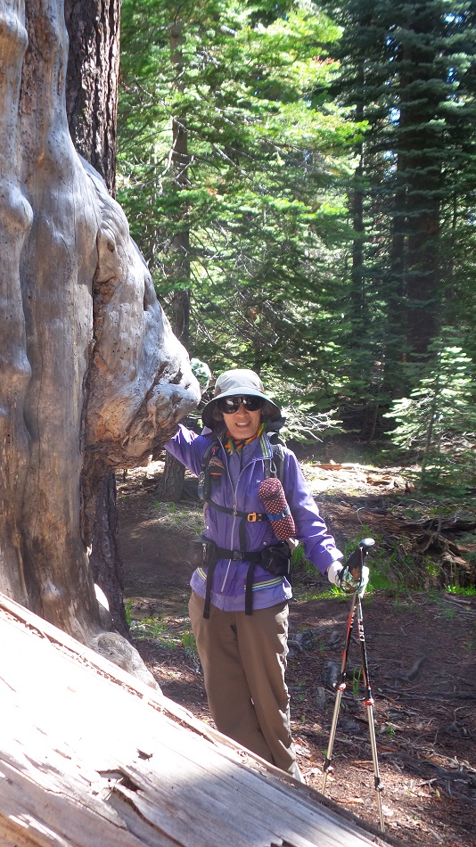 20180527_095036.jpg