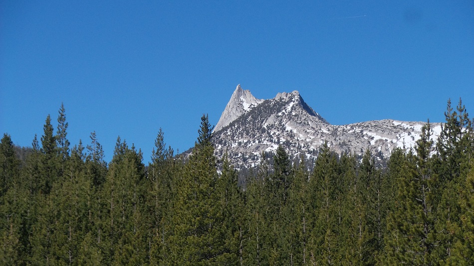 n14 (1).jpg