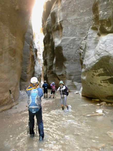 zioncanyon 124.JPG
