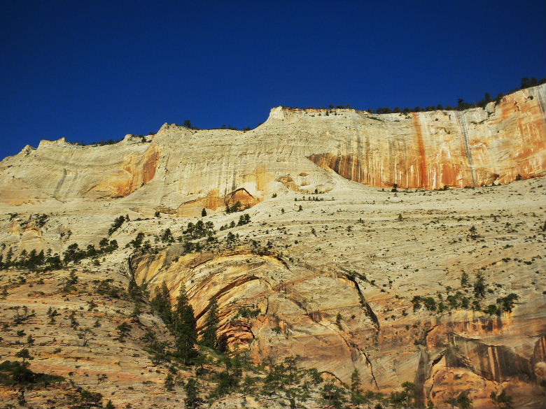 zioncanyon 240.JPG