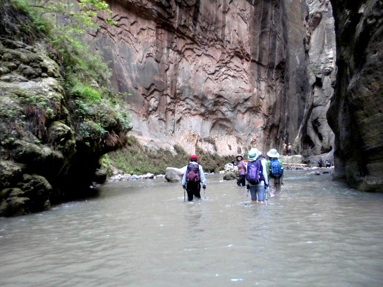 zioncanyon 207.JPG