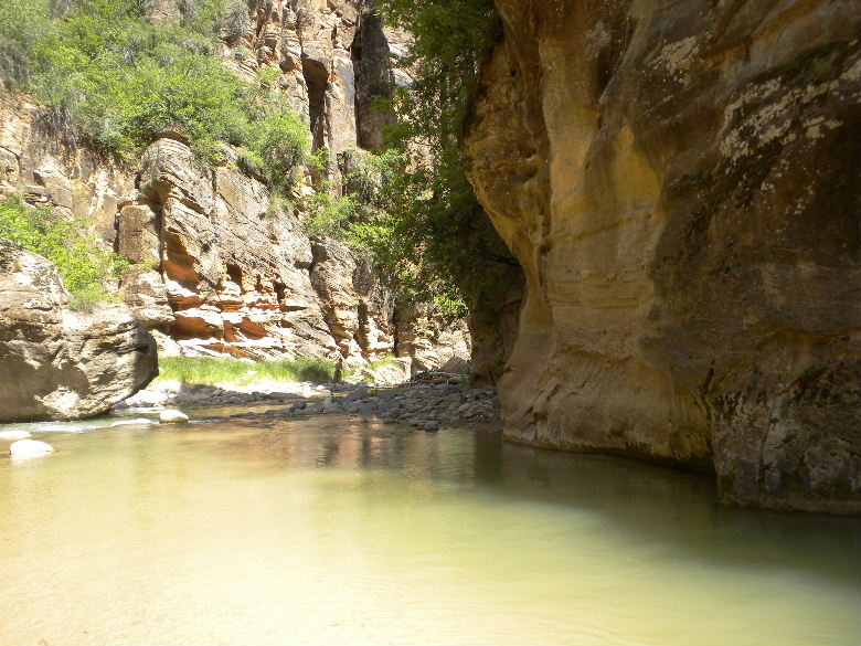 zioncanyon 155.JPG