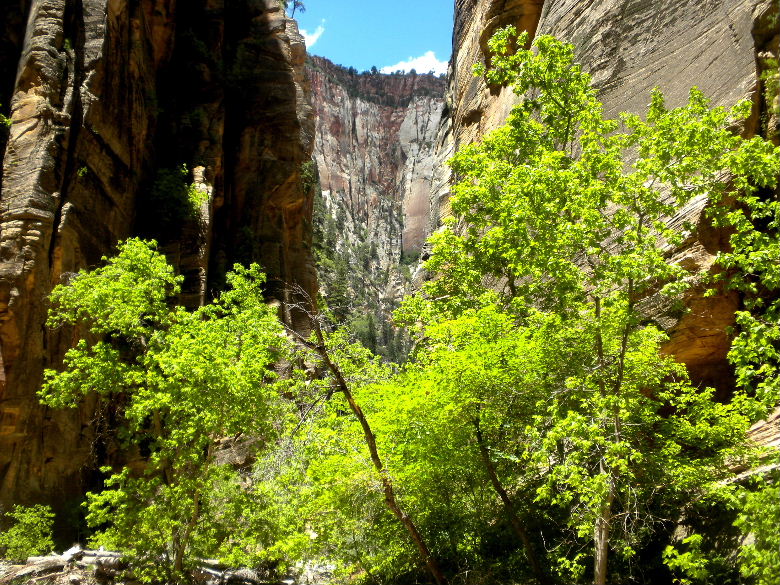 zioncanyon 141.JPG