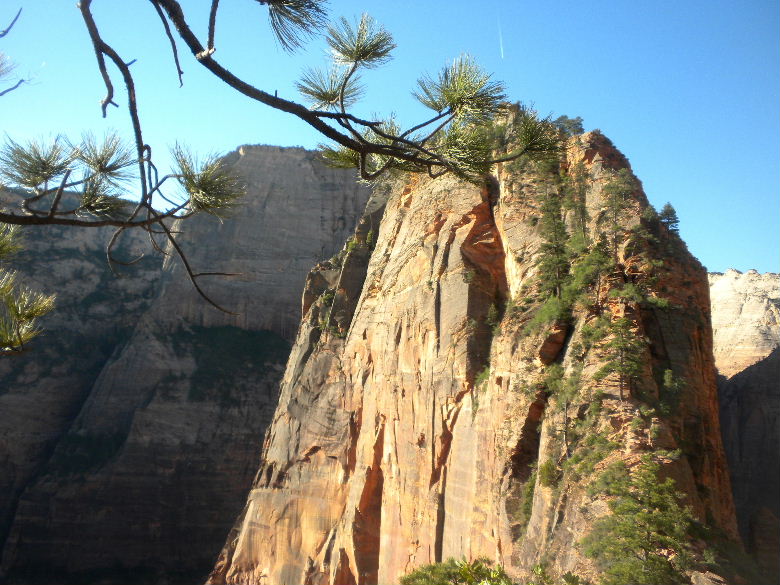 zioncanyon 231.JPG