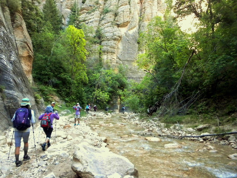 zioncanyon 084.JPG