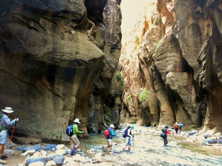 zioncanyon 159.JPG