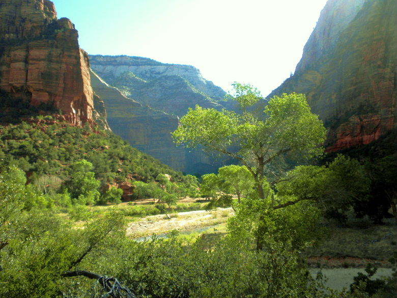 zioncanyon 275.JPG