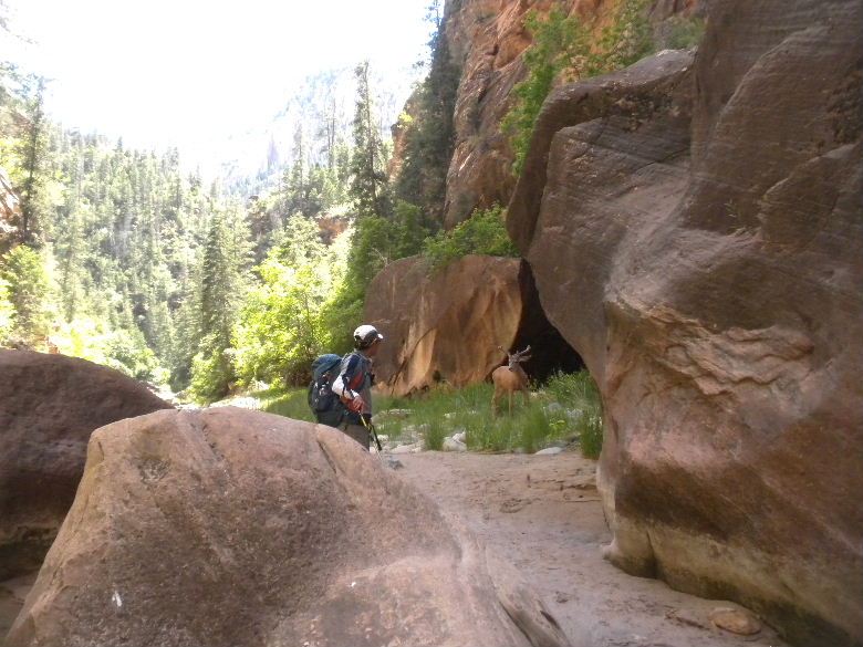 zioncanyon 148.JPG