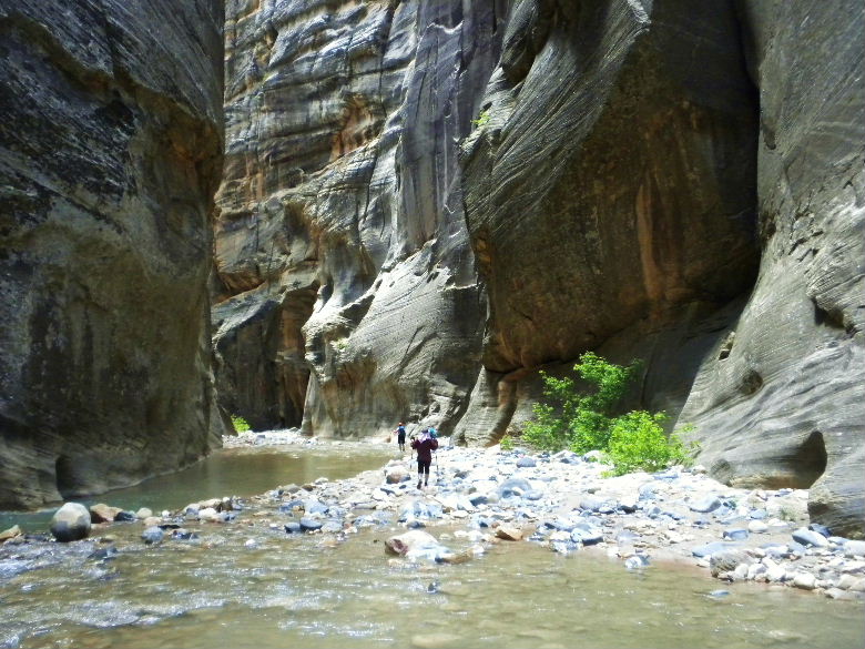 zioncanyon 145.JPG