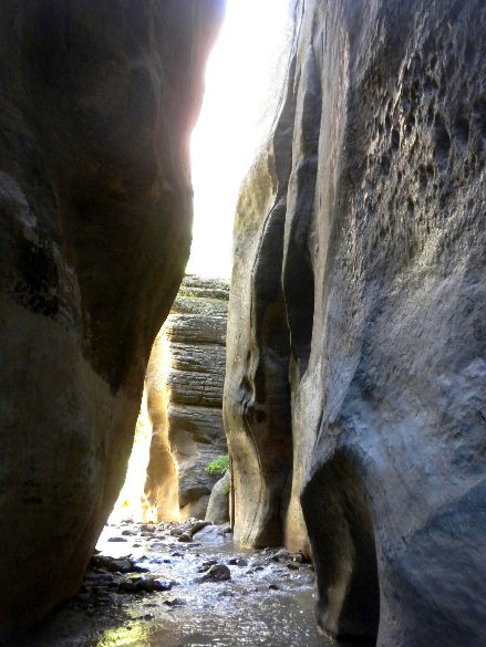 zioncanyon 110.JPG