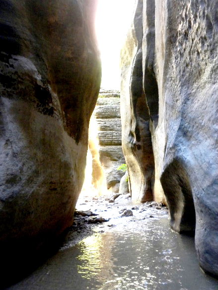 zioncanyon 117.JPG