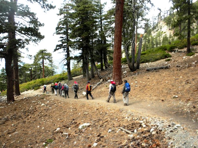 Timber101710 104.jpg