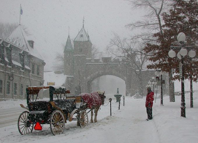 4010151-md.jpg