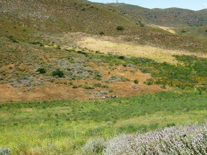Mugu15.jpg