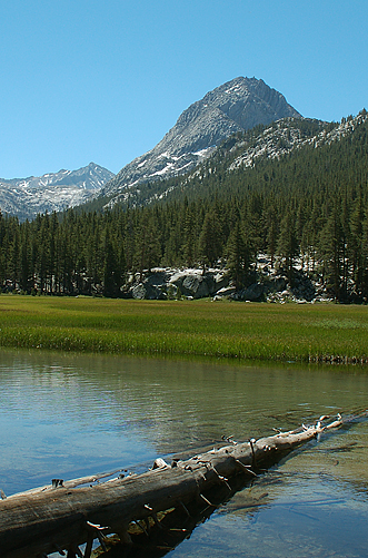 K043hermit.jpg