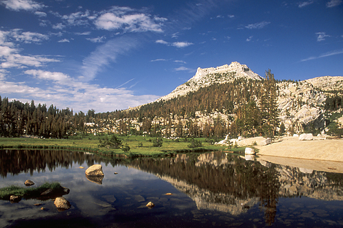 Y012reflectpass.jpg