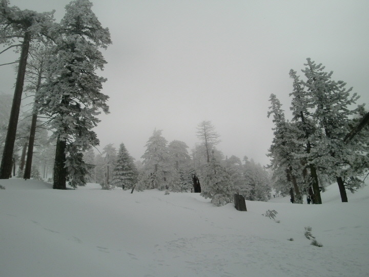 0221Cucam17.jpg