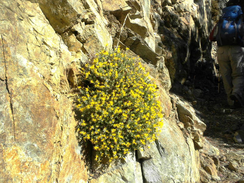 ceglen103110 056.jpg