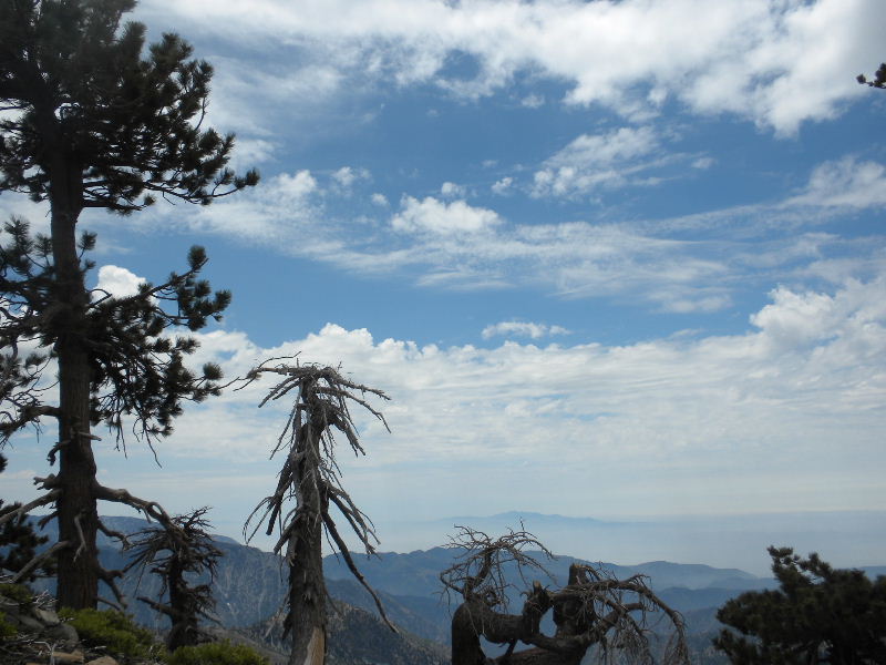 badenpowell710 015.jpg