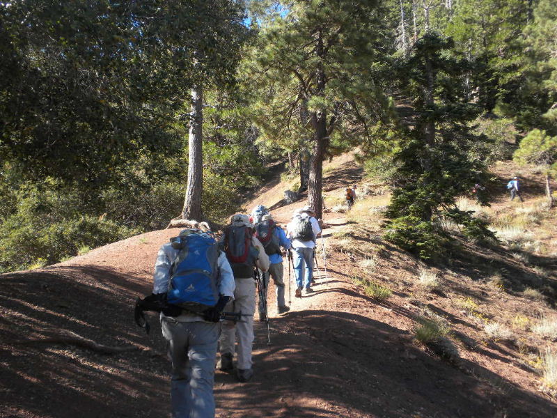 badenpowell810 014.jpg