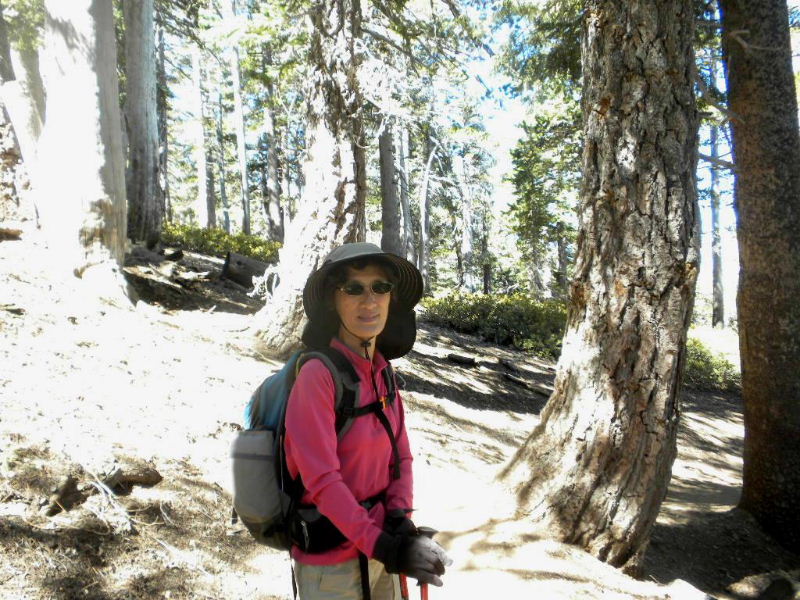 badenpowell810 017.jpg