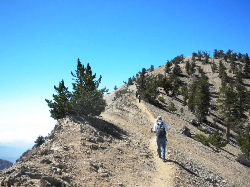 badenpowell810 018.jpg