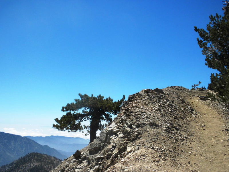 badenpowell810 020.jpg