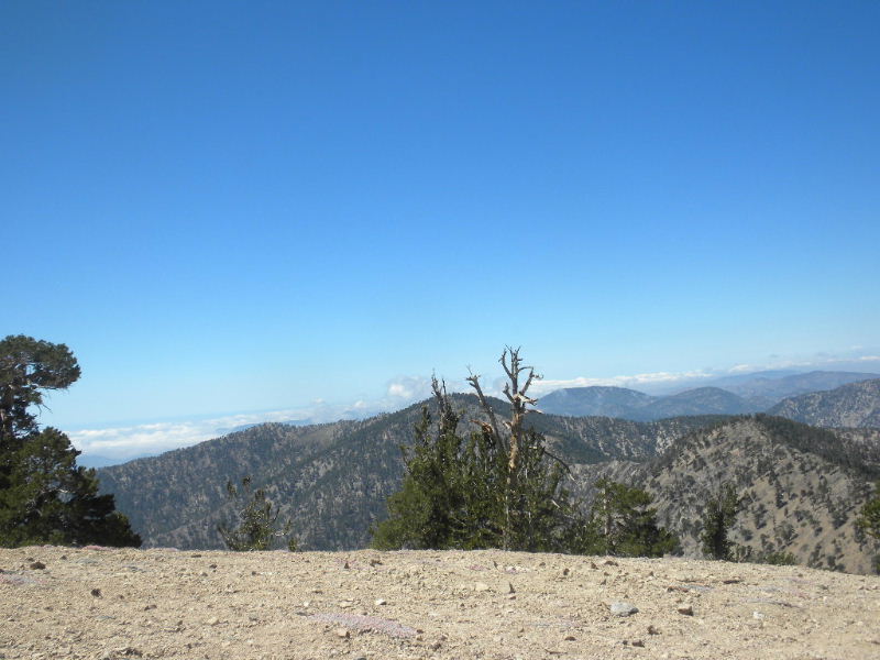 badenpowell810 046.jpg