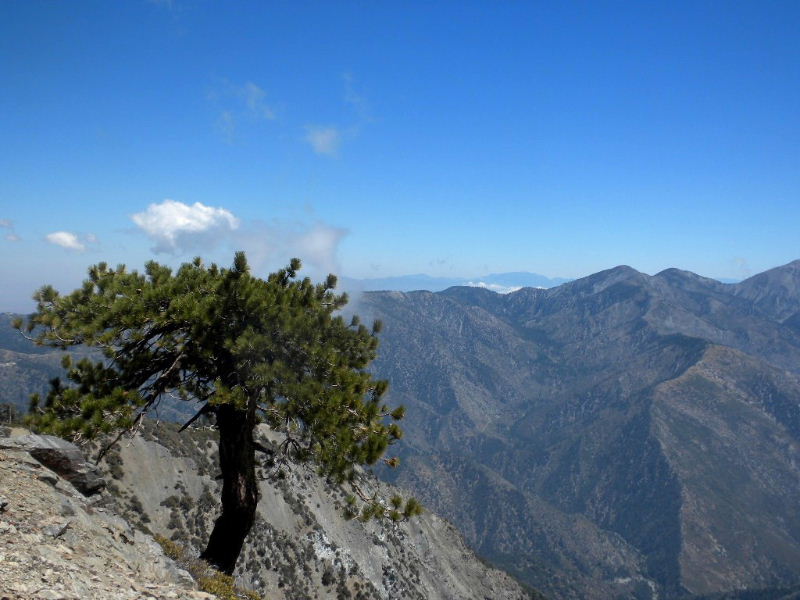 badenpowell810 062.jpg