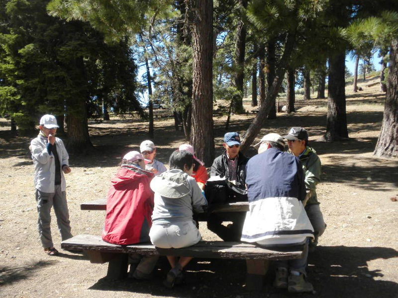 badenpowell810 069.jpg