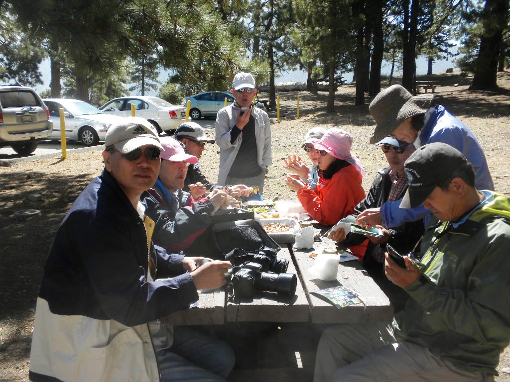 badenpowell810 072.jpg