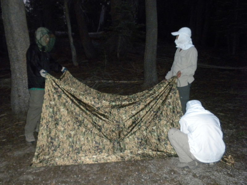 jmt72010 022.jpg