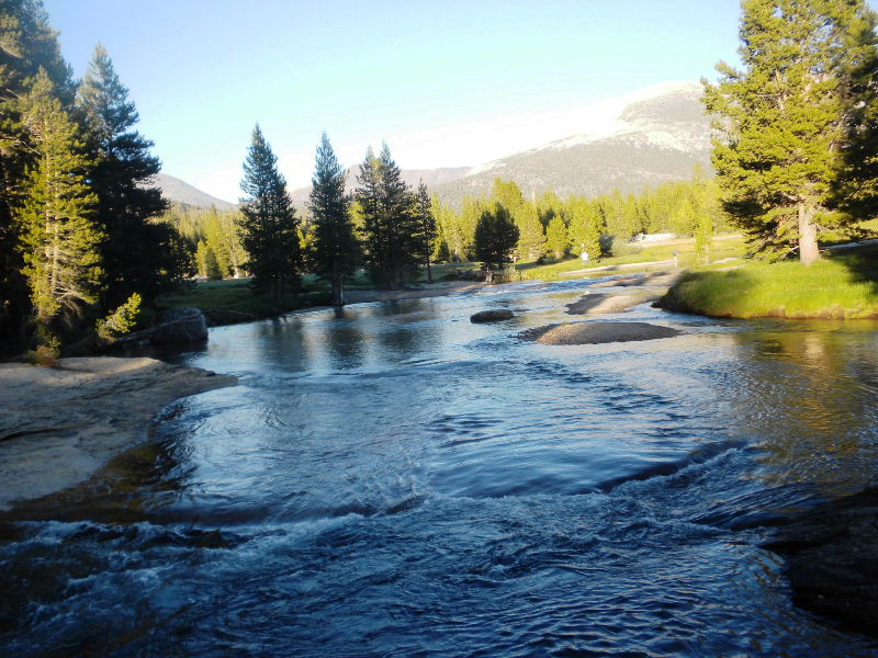 jmt72010 158.jpg