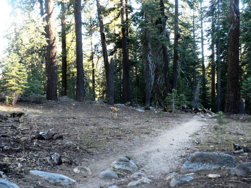 jmt72010 185.jpg