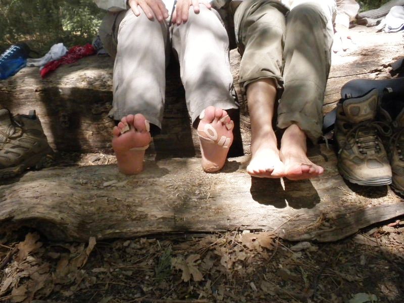 jmt72010 220.jpg