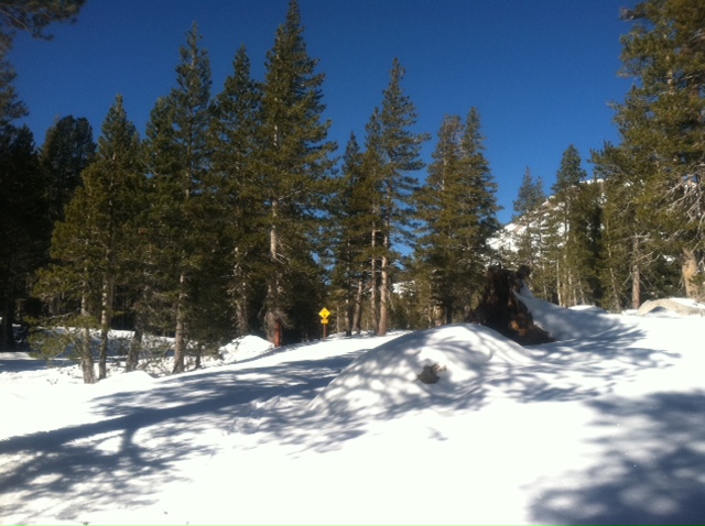 Resized  s,j 2_photo (4).JPG