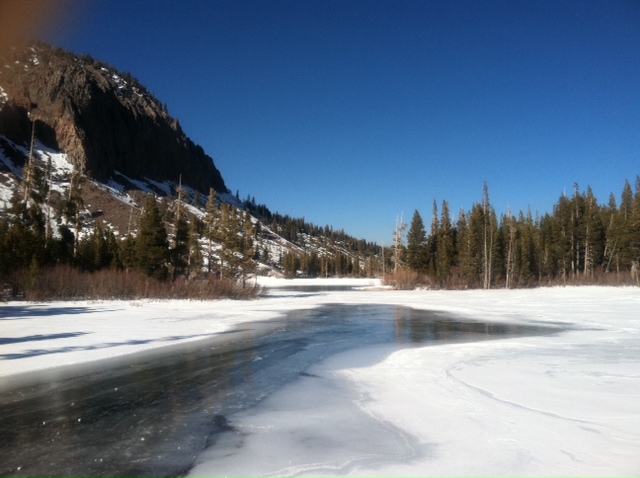Resized  s,j 2_photo (2).JPG