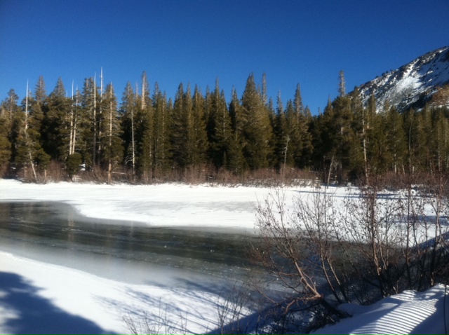 Resized  s,j 2_photo (1).JPG